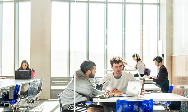 Information for School Counselors